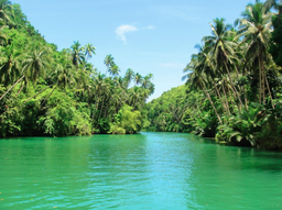 Loboc river
