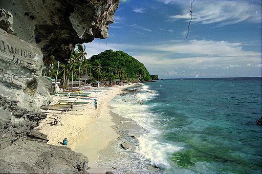 Apo island view