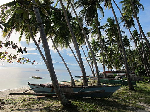 Paliton beach in Siquijor
