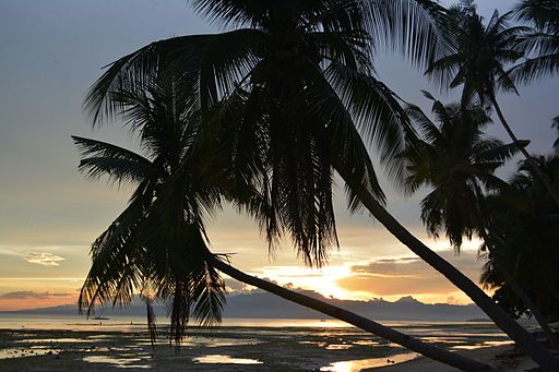 Siquijor beach at nightfall