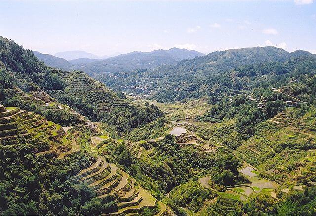 Banaue rice terraces