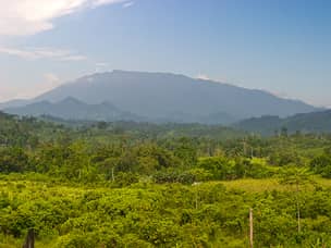 Palawan mountain trekking