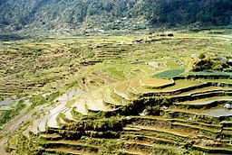 The Banaue rice terraces