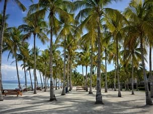 Panglao island beach