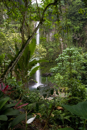 Katibawasan Falls in Camiguin are hidden in the jungle
