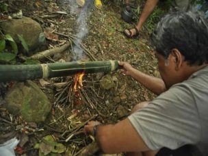 cebu_survival_class